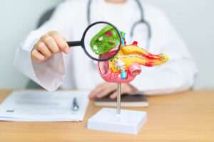 Read more about the article Role of Pancreas in Digestion: The Hidden Powerhouse Behind Your Meals